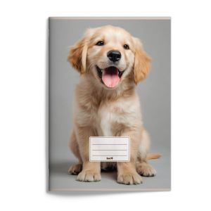 Zošit A4 „retriever“, 2026, 20 listov, čistý, 420